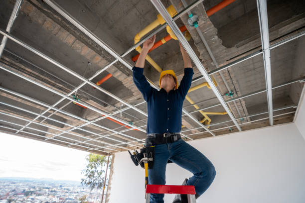 Best Plumbing Inspection Services  in Dry Run, OH